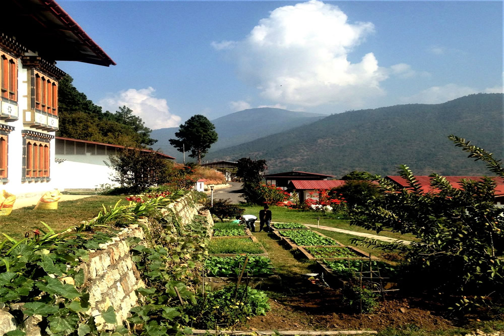 Drubchhu Resort Punakha